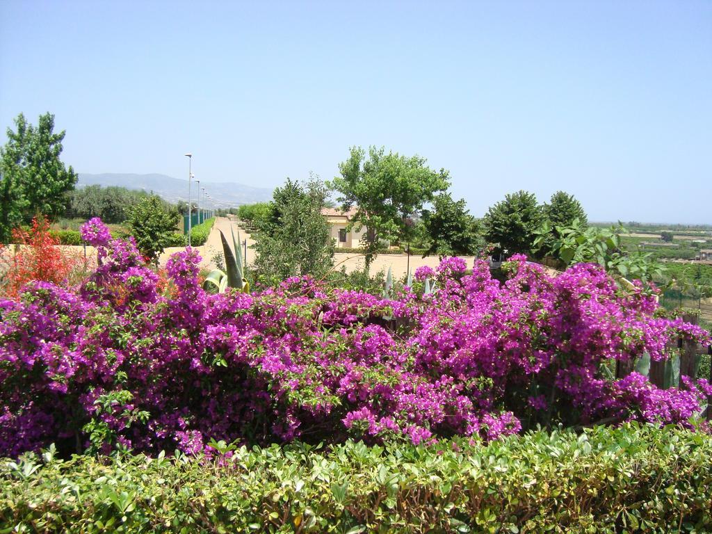 Tenuta Colle Degli Ulivi Sibari Bagian luar foto